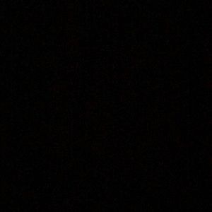 Meet your Posher, Bella